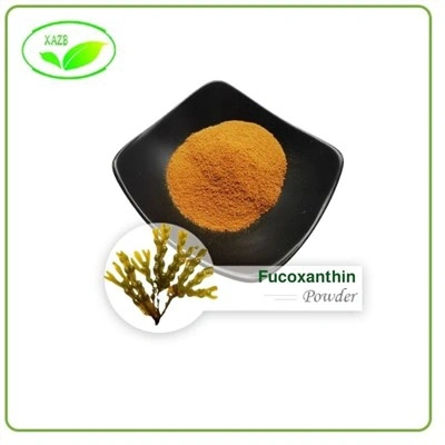 Fucoxanthin Powder